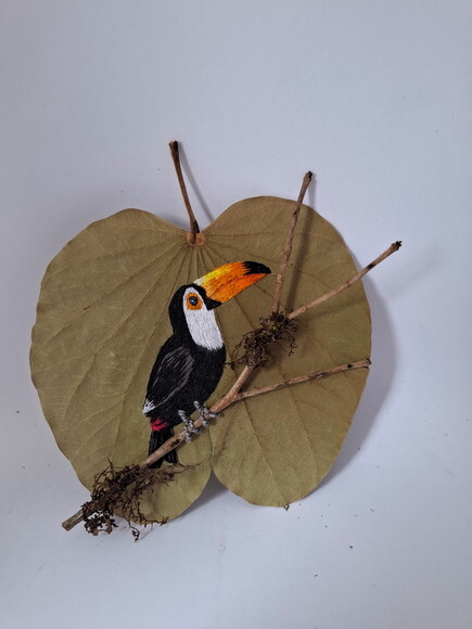 Tucano - Tuco