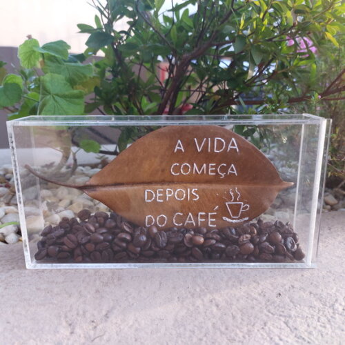 com Cx m - a Vida Começa Depois do Café