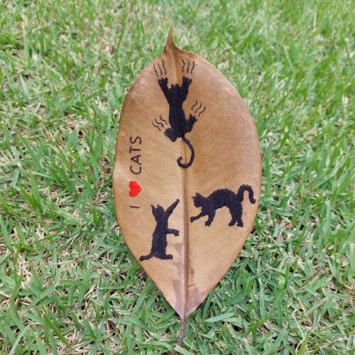 Gatinhos - Siluetas