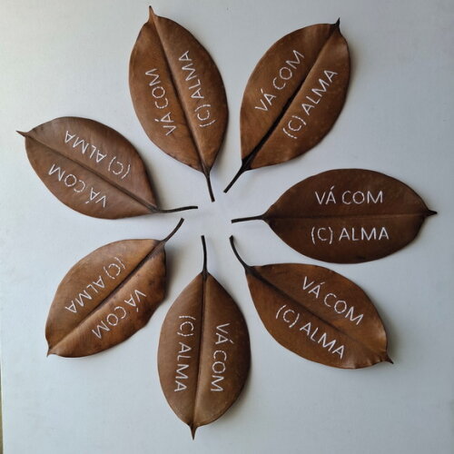 Frase - Vai com (c)alma