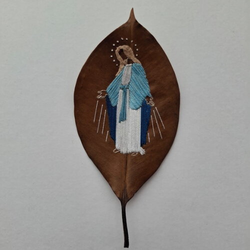 Imagem Santos - Nossa Senhora dos Milagres