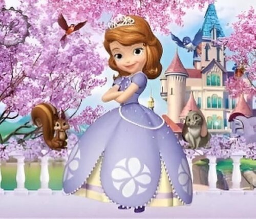 Sacolinha Surpresa Personalizada Princesa Sofia