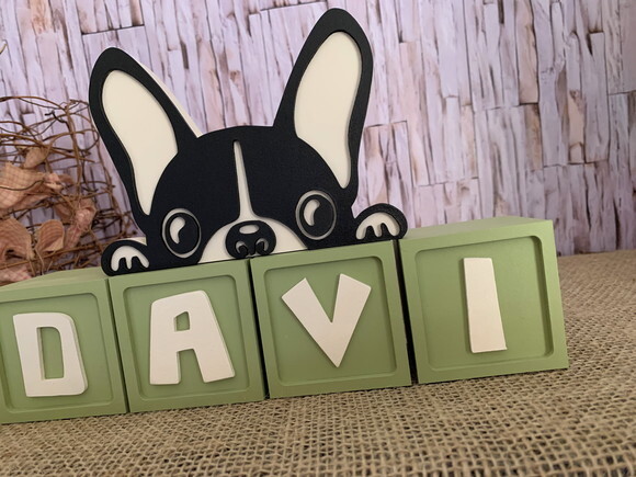 Cachorrinho + Cubos Ts 6x6cm