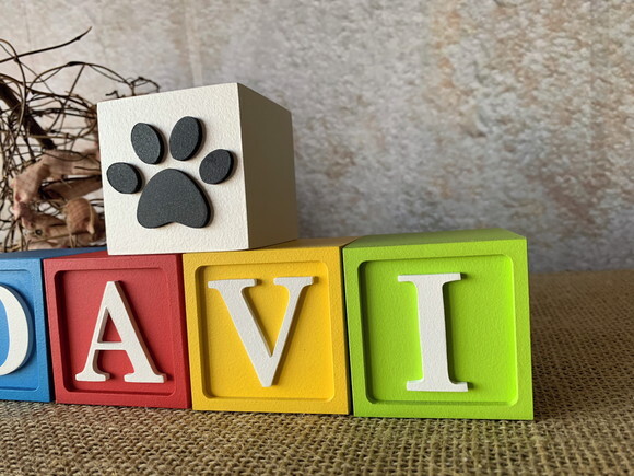Cubos 6x6cm Patrulha Canina Ts
