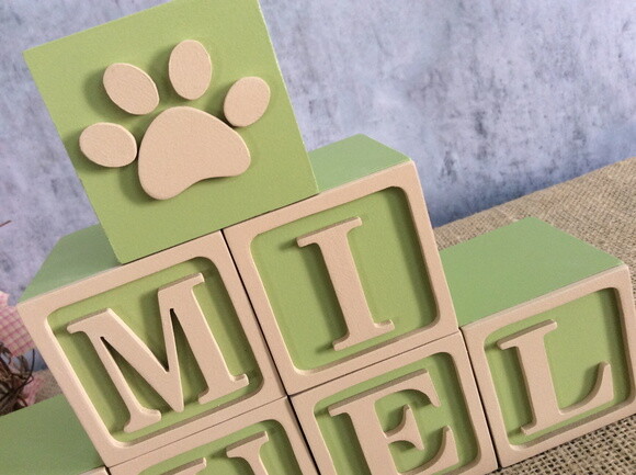 Cubos 6x6cm Patrulha Canina