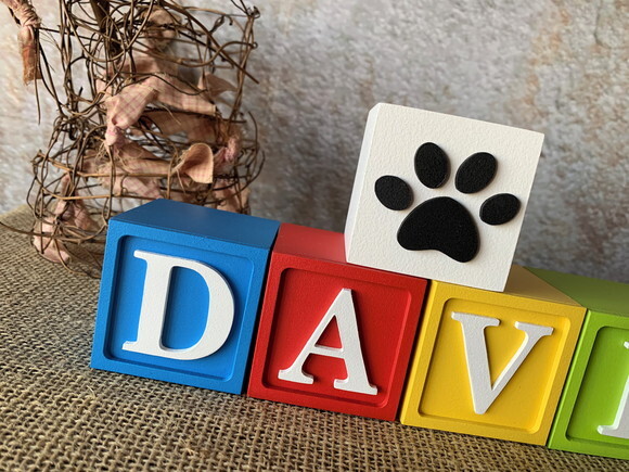 Cubos 6x6cm Patrulha Canina Ts