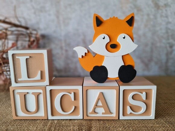 Cubos 6x6cm TS + RAPOSA