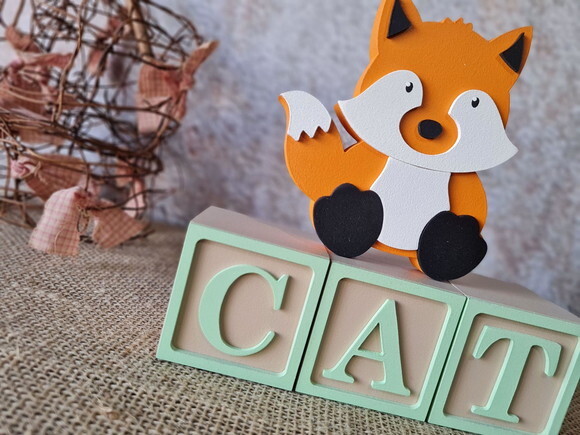 Cubos 6x6cm TS +RAPOSINHA