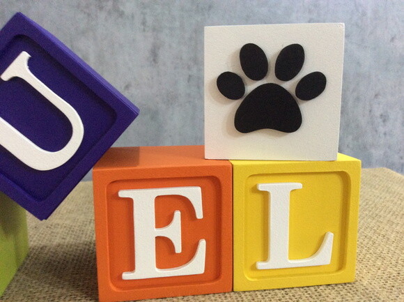 Cubos Toy Story 6x6cm Patrulha Canina