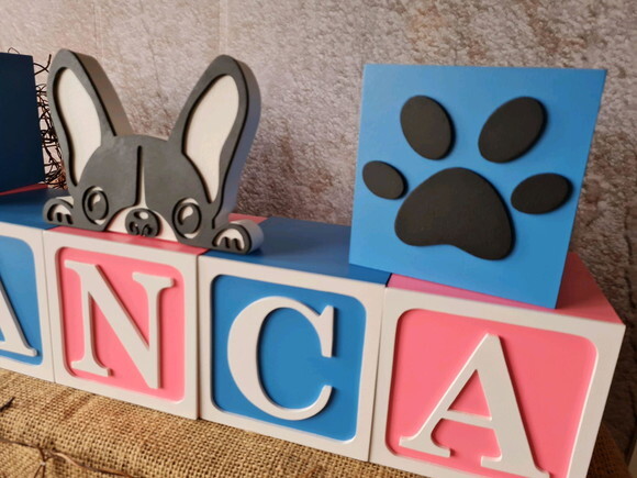 PET - Cubos 10x10cm TS + BULDOGUE