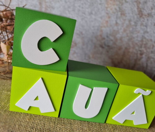 Cubos 10x10cm Galinha Pintadinha