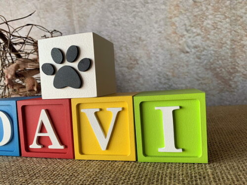 Cubos 6x6cm Patrulha Canina Ts