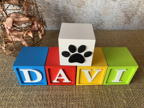 Cubos 6x6cm Patrulha Canina Ts