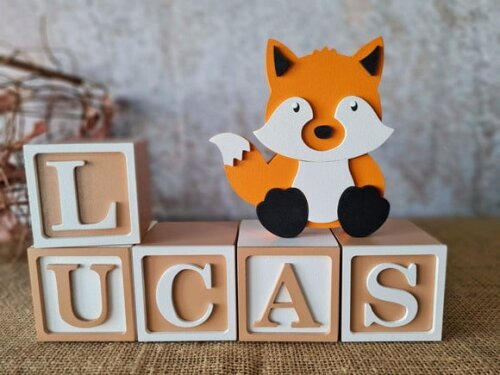 Cubos 6x6cm TS + RAPOSA