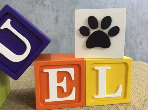 Cubos Toy Story 6x6cm Patrulha Canina