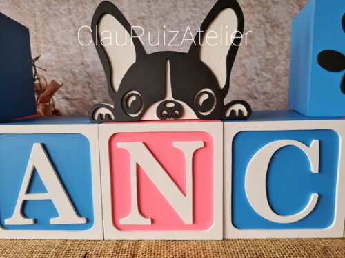 PET - Cubos 10x10cm TS + BULDOGUE