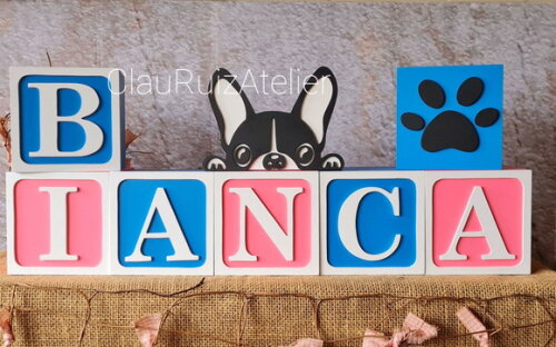 PET - Cubos 10x10cm TS + BULDOGUE