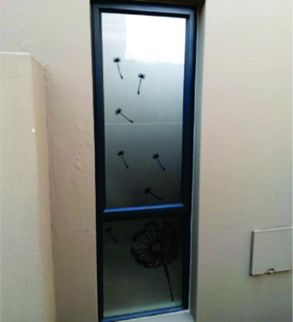 Adesivo Jateado Para Portas de Vidro 215x100 cm - Dente de Leão