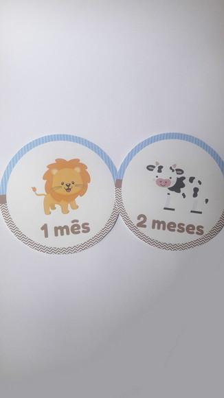 Adesivo Mesversário Arca de Noé Personalizado