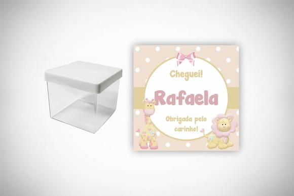 Adesivo Personalizado Caixa Acrílica Safari Rosa