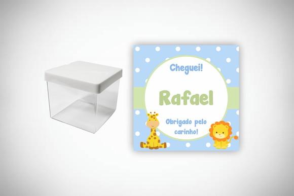 Adesivo Personalizado Caixa Acrílica Safari