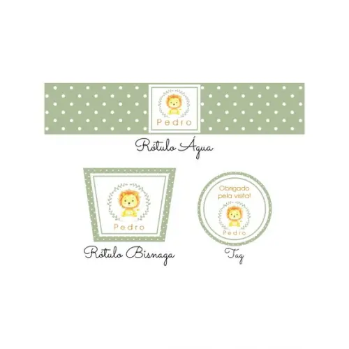 Kit Rótulos Personalizados Maternidade Leãozinho