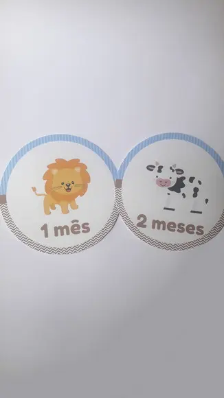 Kit Adesivo Personalizado Mesversário Arca de Noé