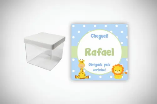 Adesivo Personalizado Caixa Acrílica Safari