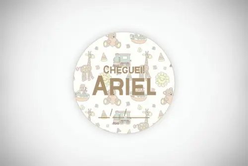 Tag Personalizada Maternidade Cheguei Brinquedos
