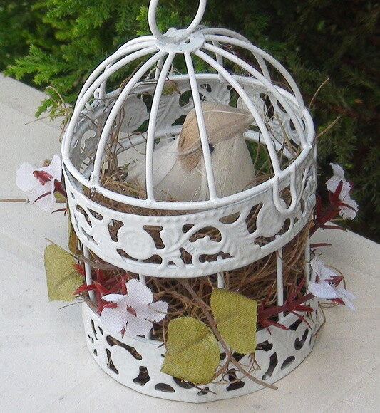 Gaiola com Passarinho