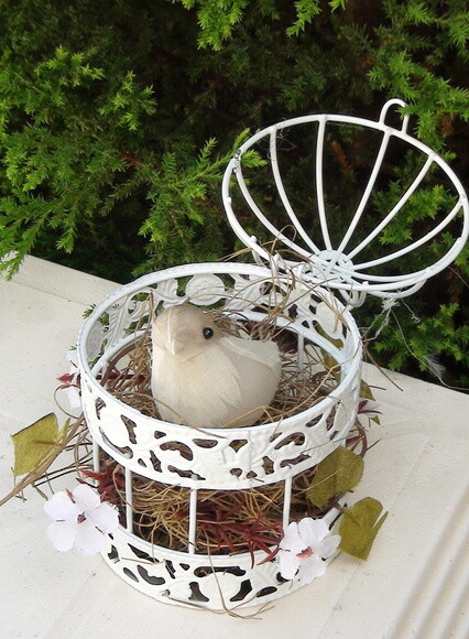 Gaiola com Passarinho