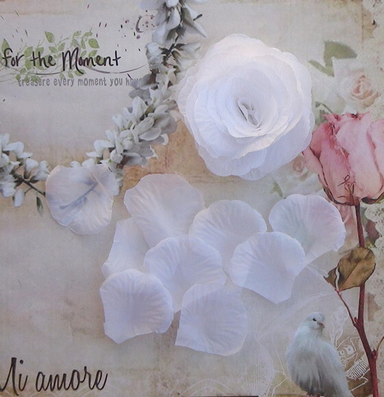 Pétalas de Flor em Organza - Branca - 25 un