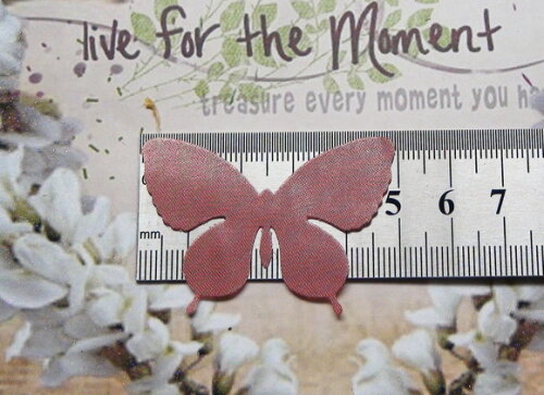 Borboletas em Cetim - 5x4 cm - Rose Terra - 25 un