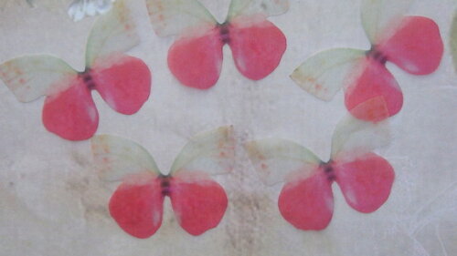 Borboletas em Organza - 05 un - Branca e Pink