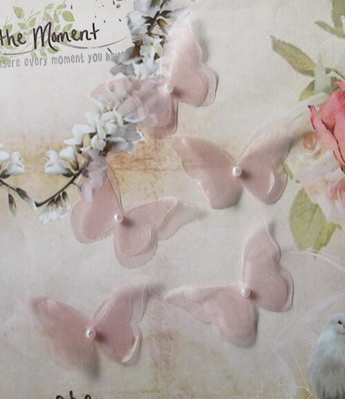 Borboletas em Organza Dupla Camada - Rose - 6,0x5,0cm 05 un