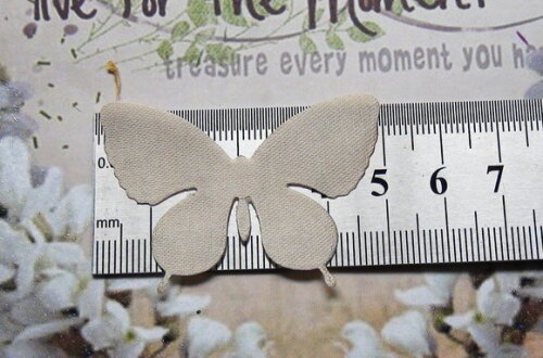 Borboletas En Cetim - 5x4 cm - 50 un - Champagnhe