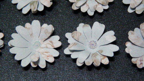 Flores para Scrapbooking - 10 Un.