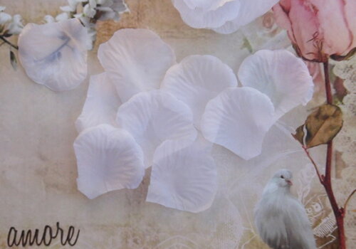 Pétalas de Flor em Organza - Branca - 25 un