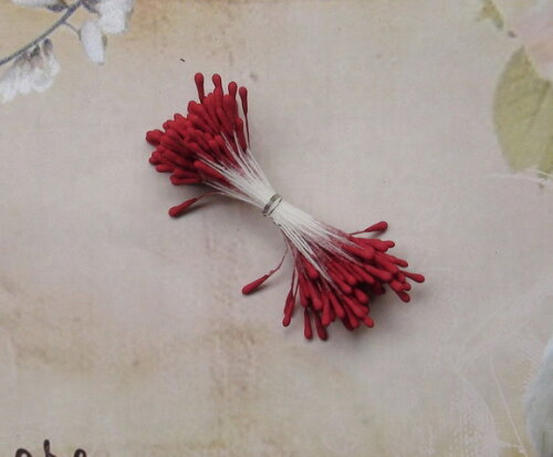 Pistilo para Flores Fosco - Stamen - 200 un