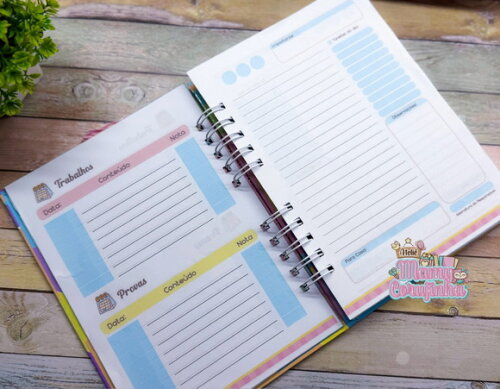 Agenda Escolar Divertida Mente