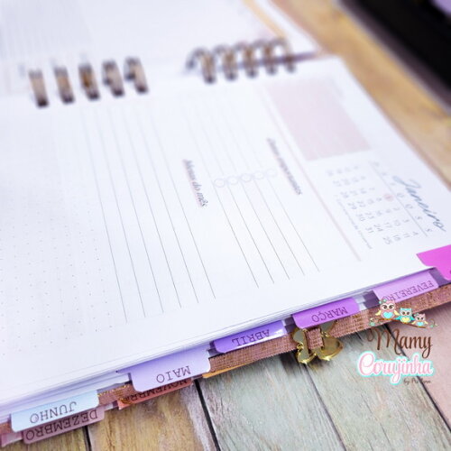 Agenda Personalizada 1 Dia Por Página com Divisória e Brinde