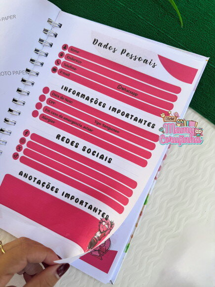 Caderno 10 de Matérias- Margo Pink -sem Adesivo- Torajo
