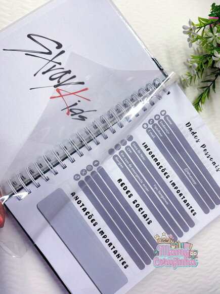 Caderno 10 Matérias Stray Kids Tamanho Universitário