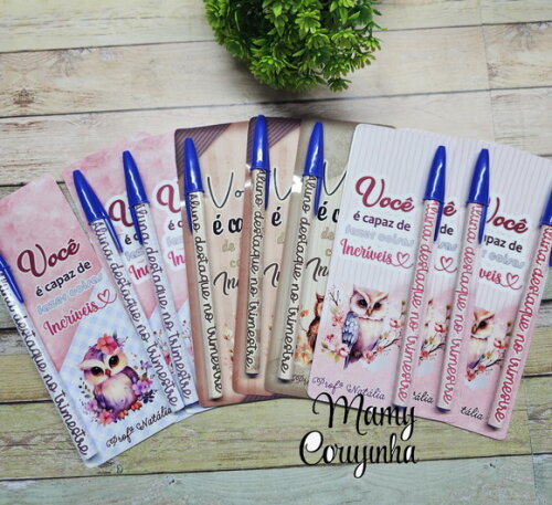 Caneta Bic + Card Frases (3,99cada)