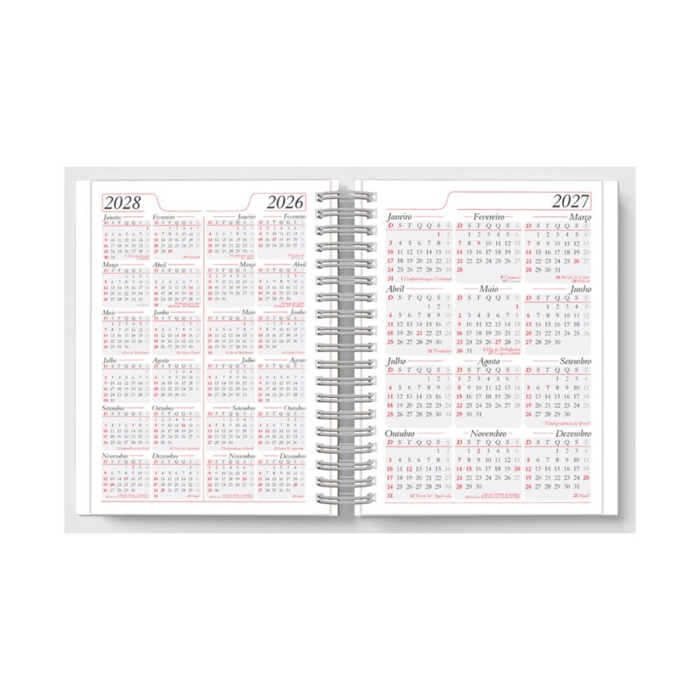 30 Agendas Diárias 2027 Personalizada com Folha Apresentação