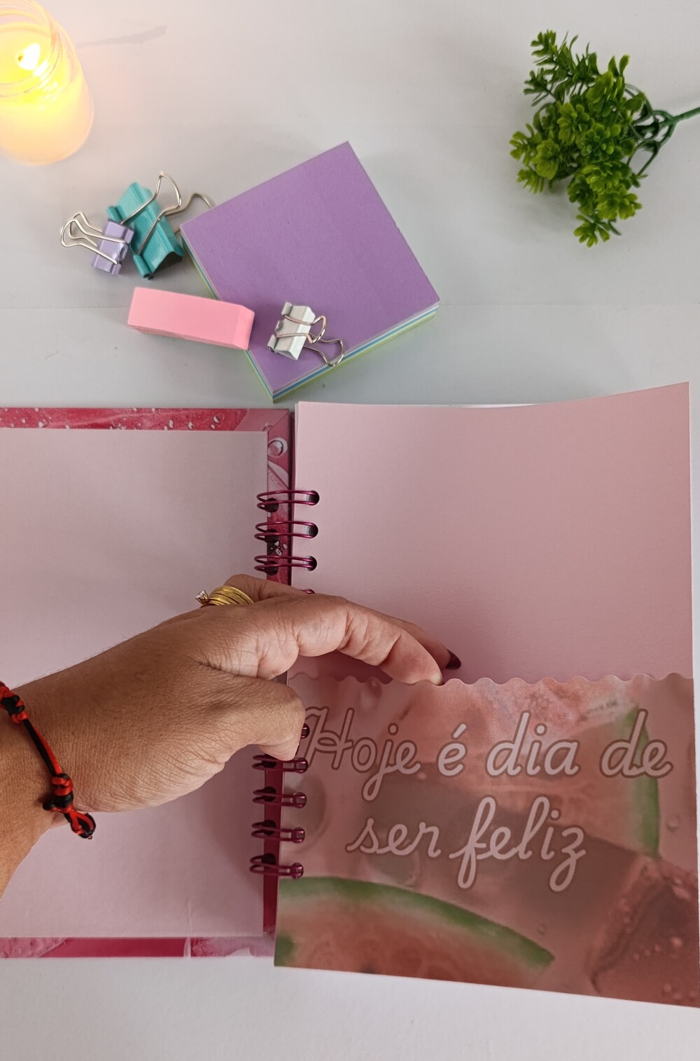 Planner 2027 Aesthetic Melancia