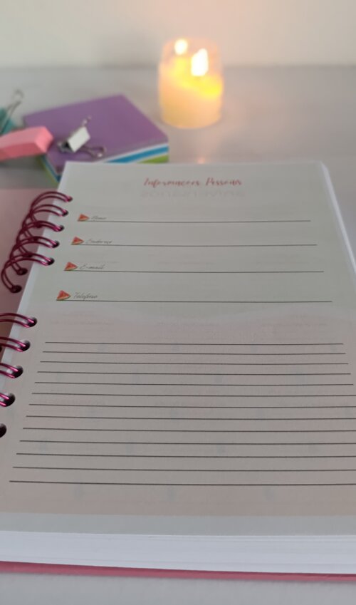 Planner 2027 Aesthetic Melancia