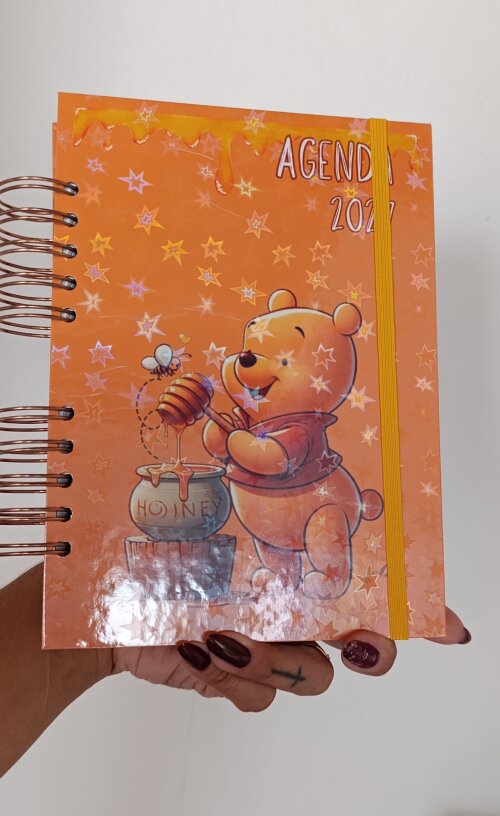 Agenda 2027- Coleção minha infância- Ursinho Pooh