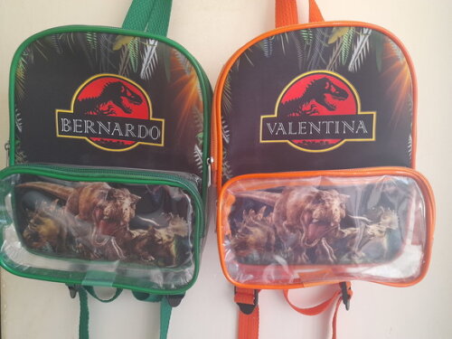 Mochila Transparente Jurassic Park
