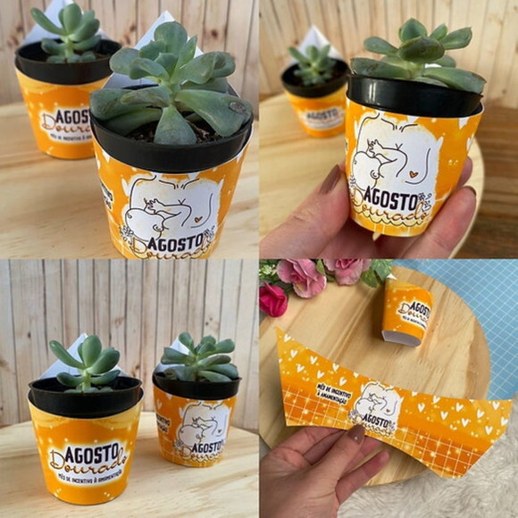 Cinta / Rótulo / Saia para Mini Suculenta - Agosto Dourado